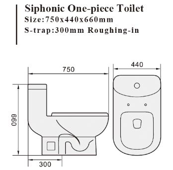 WC-3681_1.jpg